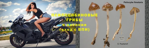 гидропоника Дмитровск