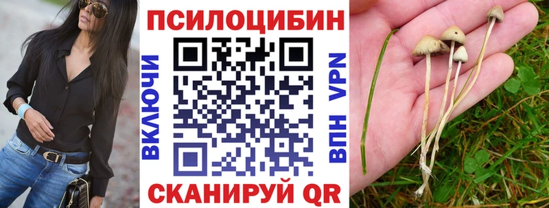 Псилоцибиновые грибы Magic Shrooms Купить Кириллов